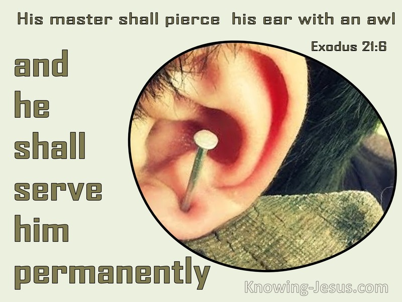 Exodus 21:6 His Master Shall Pierce His Ear With An Awl (sage)